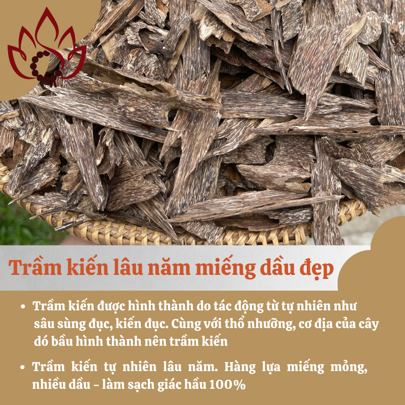 trầm kiến lâu năm miếng sạch hầu.png
