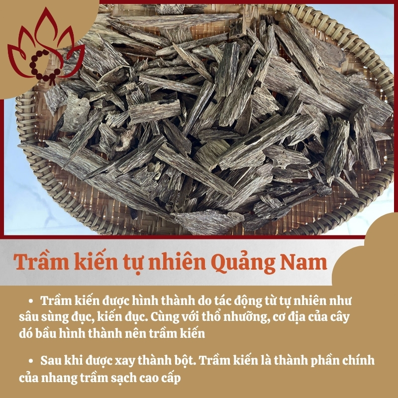 tram-kien-tu-nhien-xong-dot.jpg