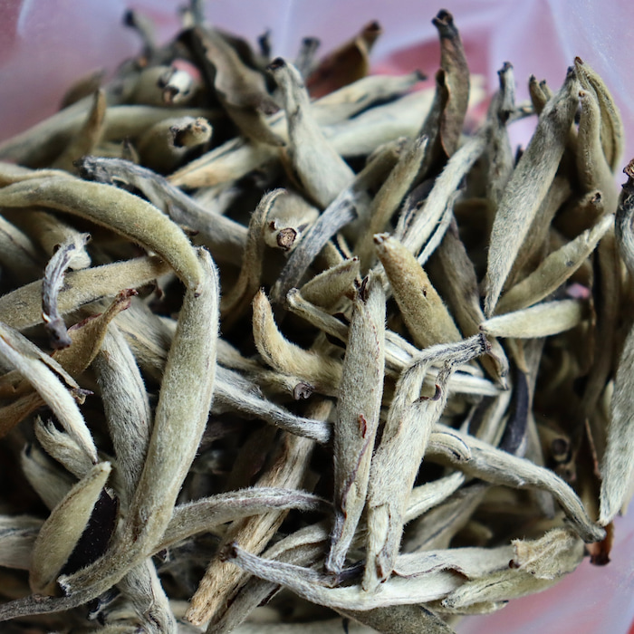 bach-hao-ngan-cham-16-2.jpg