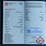 Vòng Trầm Hương Hạt Dẹp | 12 ly | Trầm Bì Rễ Chìm Nước