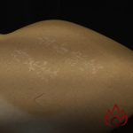 Ấm Tử Sa Phương Chu | Bổn Sơn Lục Nê | 150cc