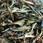 Bạch Trà Bạch Nguyệt Quang Vân Nam | 100 gram