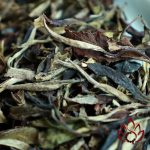 Bạch Trà Bạch Nguyệt Quang Vân Nam | 100 gram