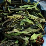 Bạch Trà Cổ Thụ Hoang Dã Vân Nam | 100 gram