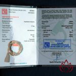 Dây Chuyền Trầm Hương Hạt Trúc Thô | Trầm Kiến Tự Nhiên Lâu Năm
