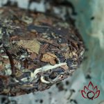 Lão Bạch Trà Mẫu Đơn Phúc Đỉnh | 100 gram