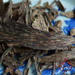 Trầm Bì Rễ Miếng Xông Đốt Tự Nhiên