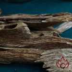 Trầm Kiến Miếng Xông Đốt Tự Nhiên | 100 gram
