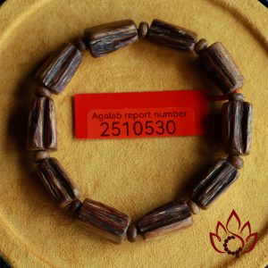 Vòng Trầm Hương Hạt Trúc Thô | 8 Ly | Trầm Kiến Tự Nhiên Lâu Năm